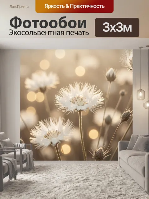 Фотообои Белые пушистые полевые цветы