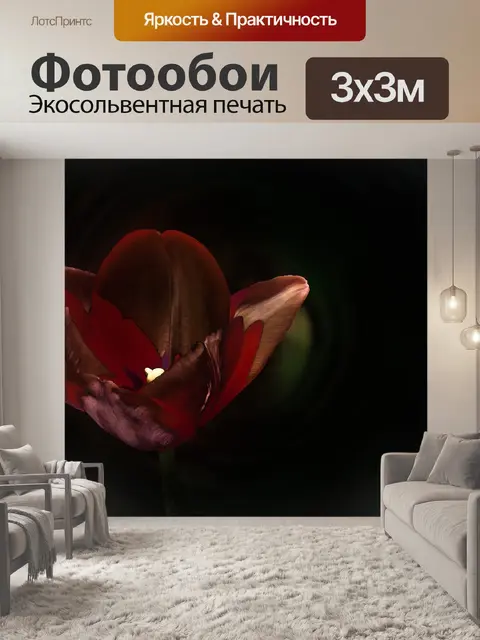 Фотообои Цветок
