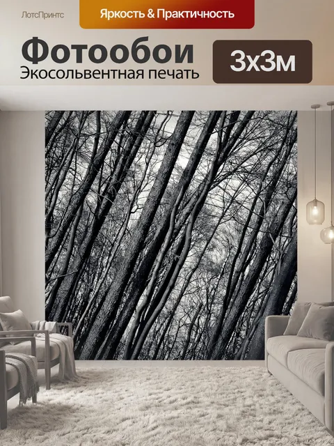 Фотообои Лес