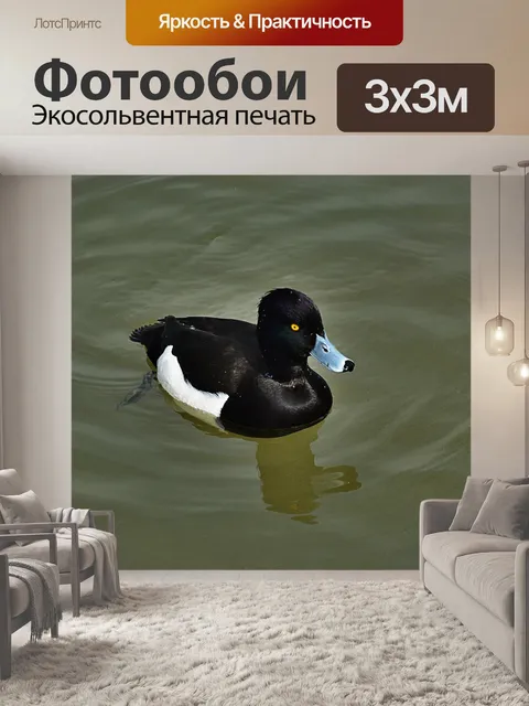 Фотообои Ряд пенсионных