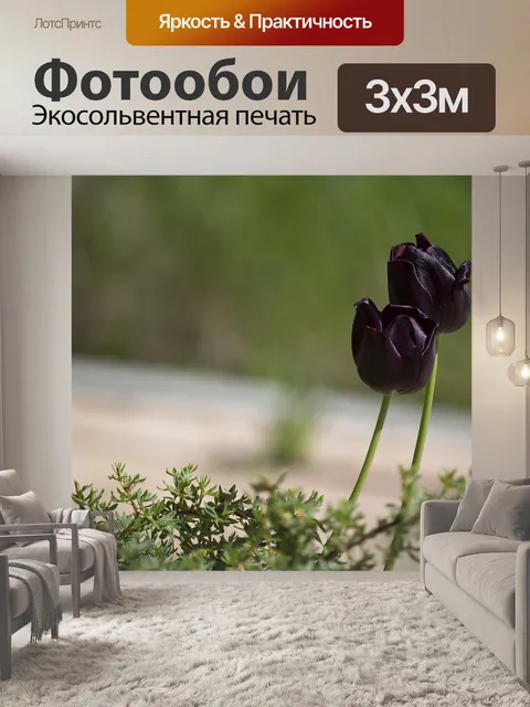 Фотообои Тюльпаны