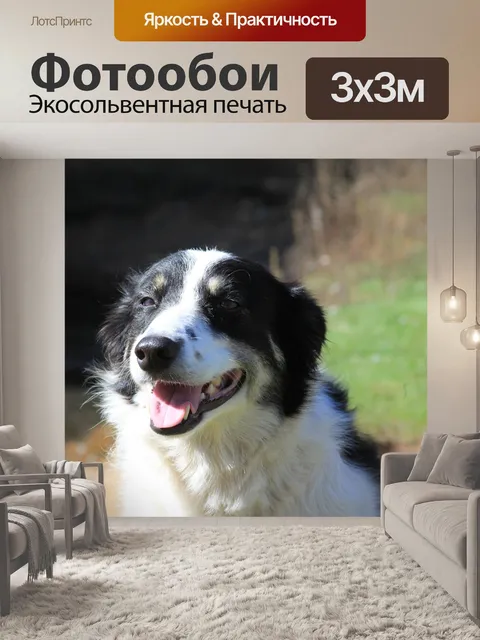 Фотообои Животные