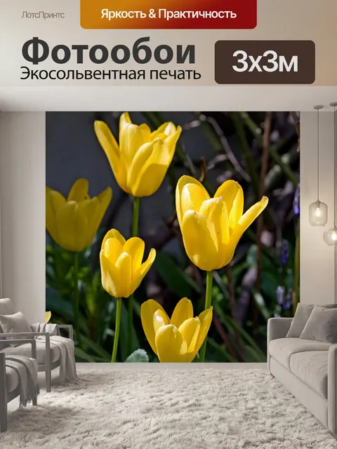 Фотообои Цветы