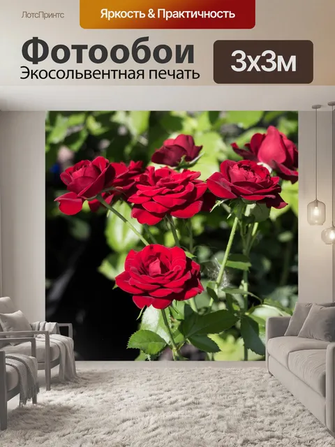 Фотообои Розы