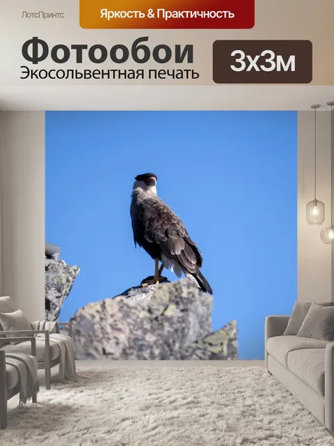 Фотообои Природа