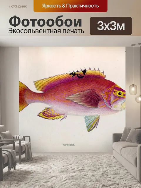 Фотообои Винтажная иллюстрация тропической рыбы