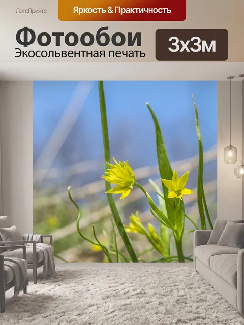 Фотообои Лес