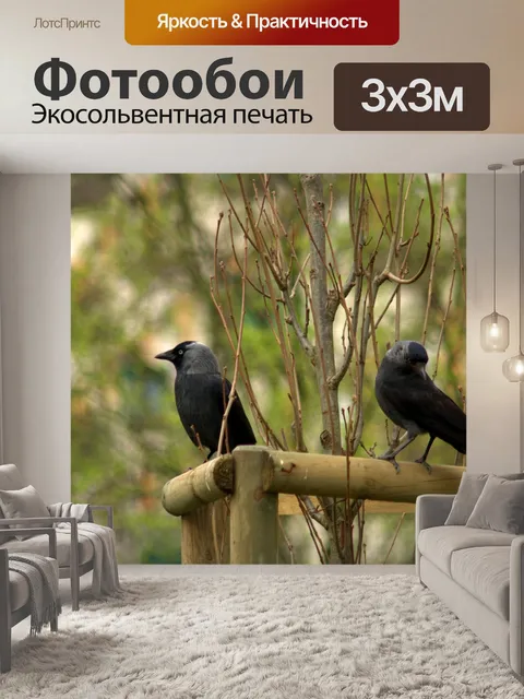 Фотообои Галки