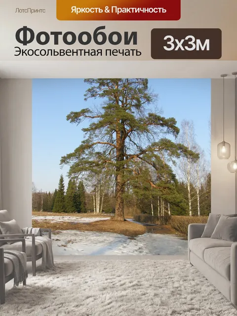 Фотообои Небо
