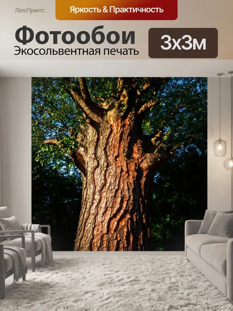 Фотообои дерево с необычной корой, растущее на фоне границы между светом и тенью
