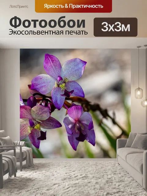 Фотообои Цветы