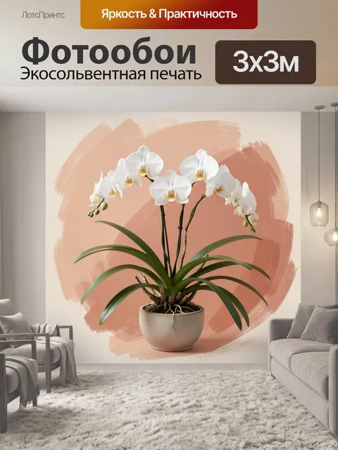 Фотообои Белые орхидеи в горшке
