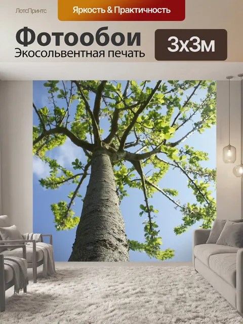 Фотообои Деревья