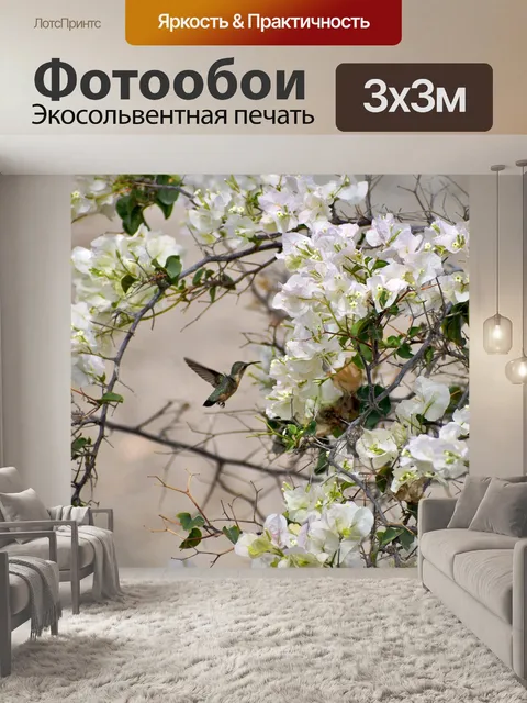 Фотообои Птица