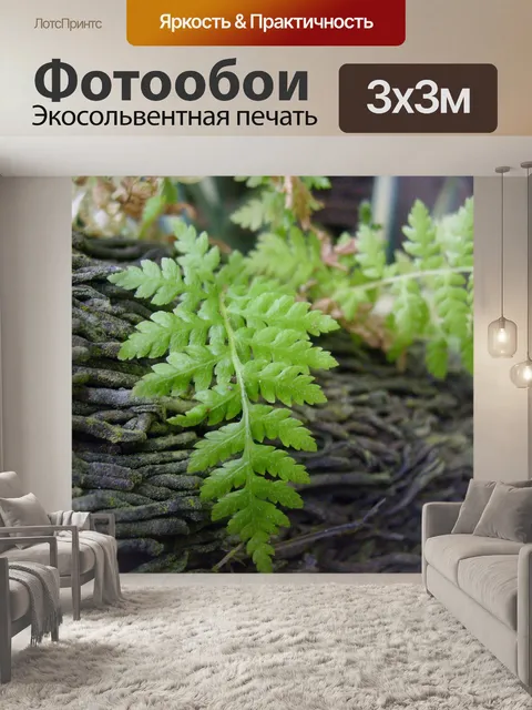 Фотообои Папоротники