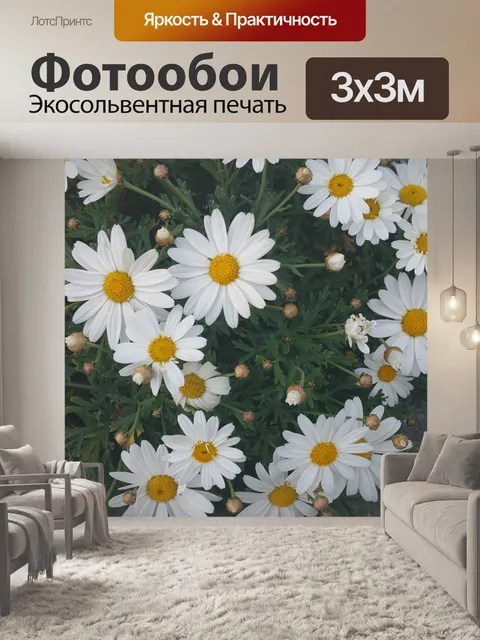 Фотообои Маргаритки