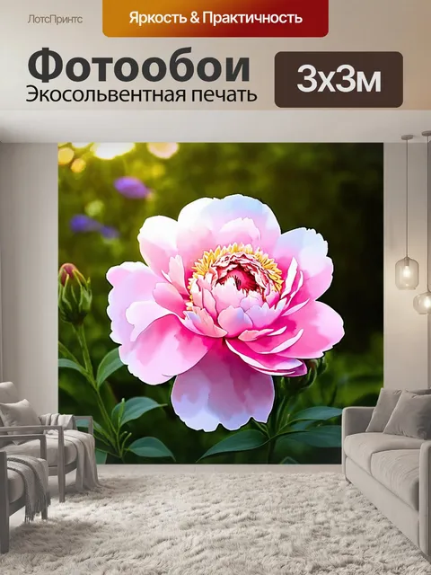 Фотообои розовый пион, распускающийся в солнечном саду, с нежными лепестками, которые переливаются в лучах света