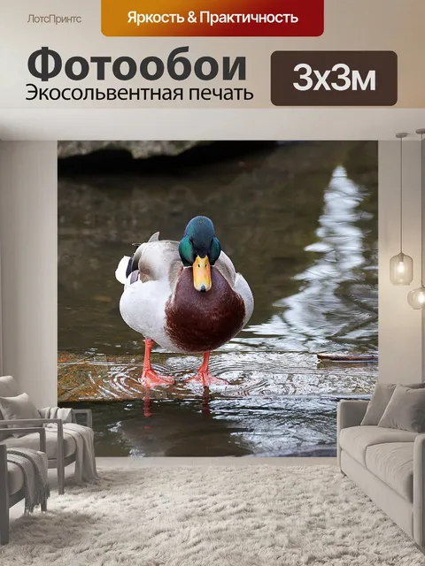 Фотообои Птица