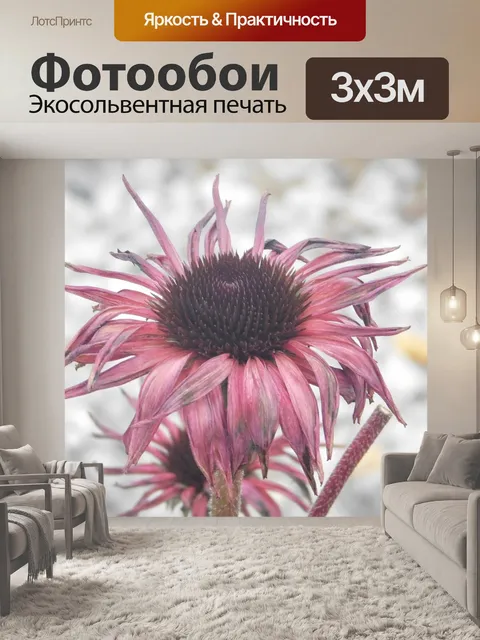 Фотообои Цветок