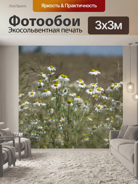 Фотообои Луг