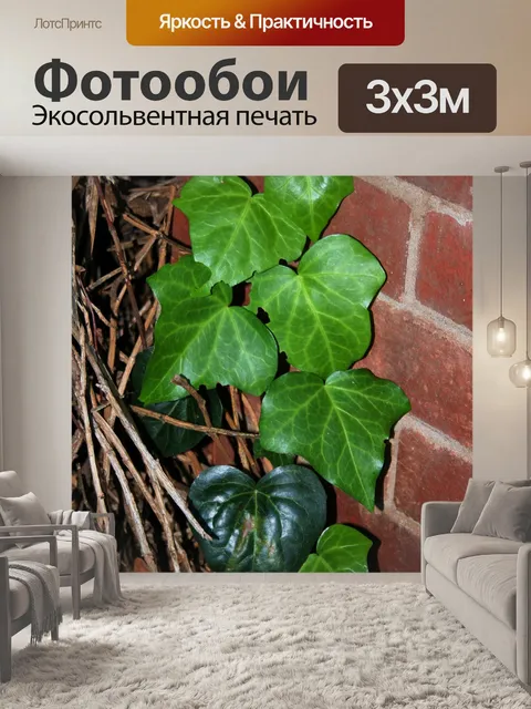 Фотообои Плющ против кирпичной колонны