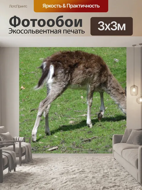 Фотообои Олень