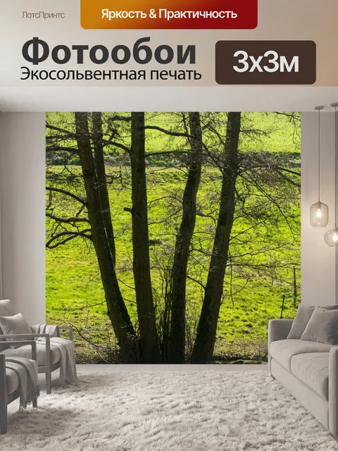 Фотообои Дерево