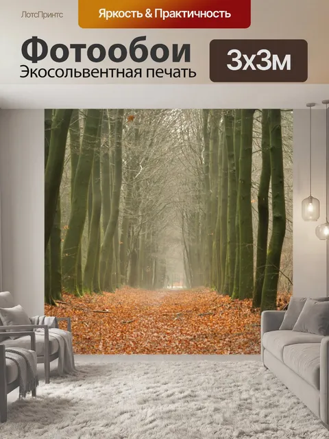 Фотообои Туманный