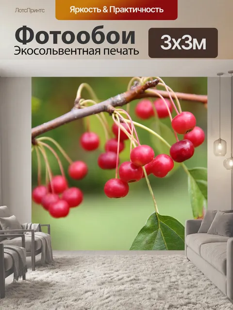 Фотообои Фрукты