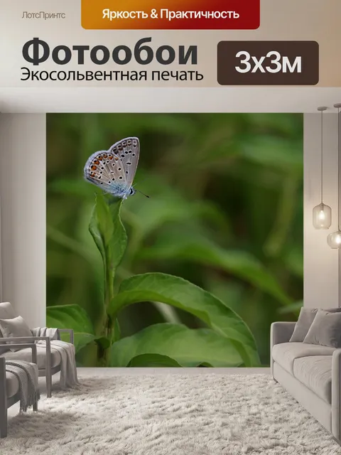 Фотообои Бабочка