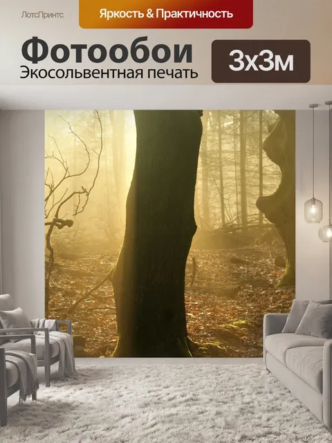 Фотообои Туманный