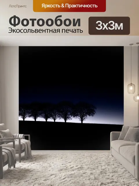 Фотообои темный фон, пейзаж безмолвного вечера с силуэтами деревьев