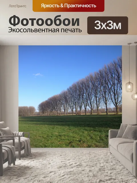 Фотообои Деревья