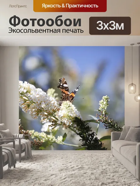 Фотообои Бабочка