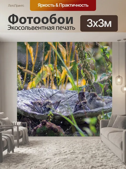 Фотообои Птицы