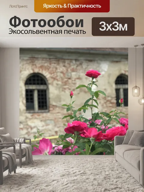 Фотообои Розы