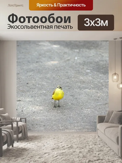 Фотообои Птица