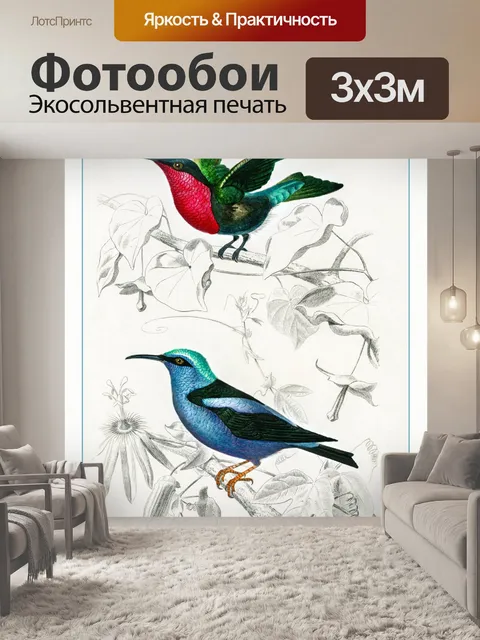 Фотообои Иллюстрация старинного искусства птиц
