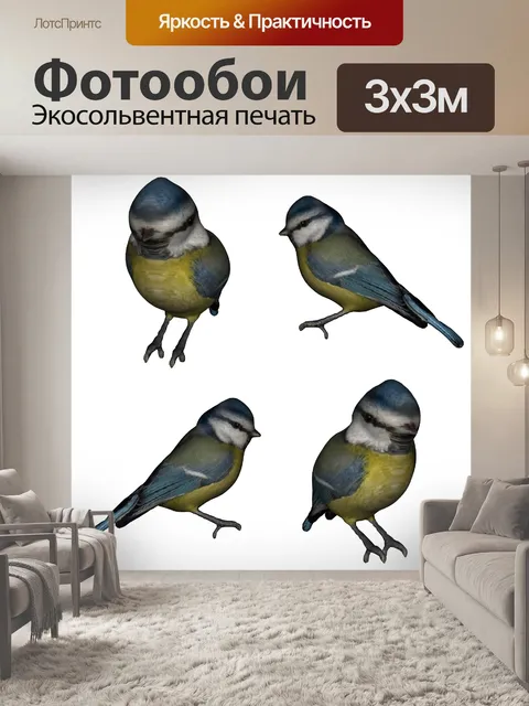 Фотообои синий набор синица