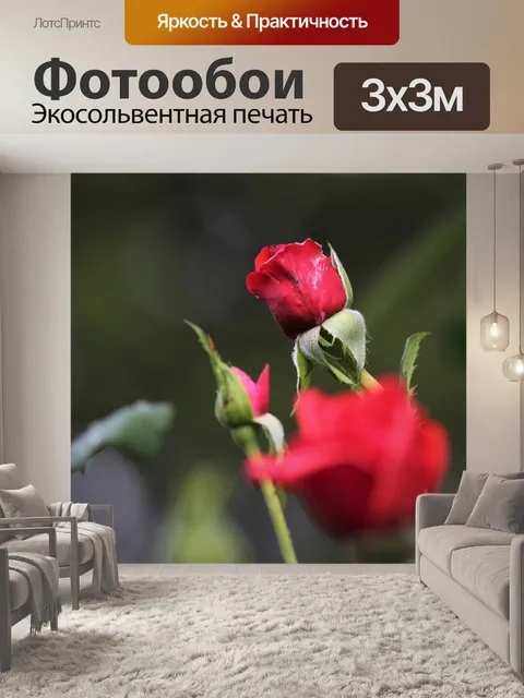 Фотообои Розы
