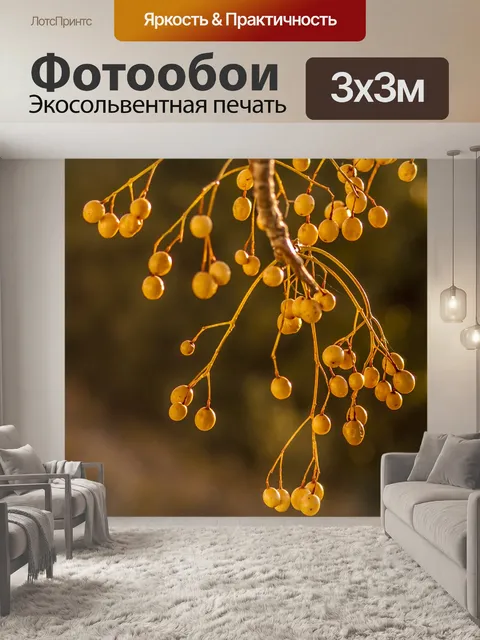 Фотообои фрукты