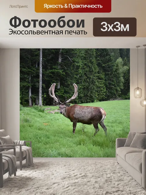 Фотообои Красный олень