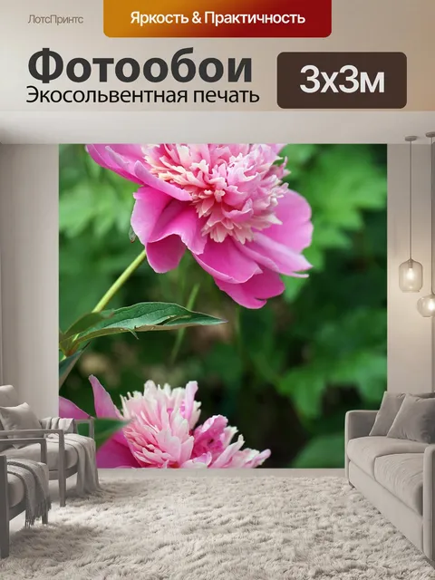 Фотообои Пионы