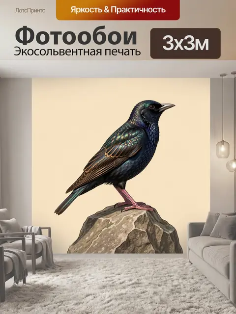 Фотообои Иррализующая птица на камне