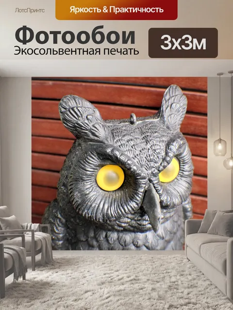 Фотообои сова крупным планом