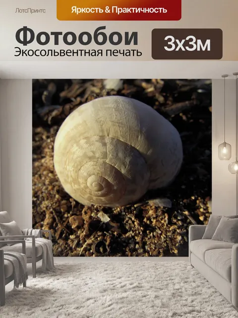 Фотообои Оболочка