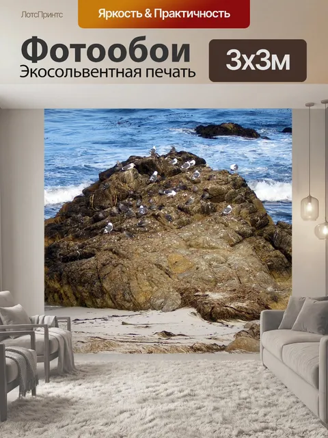 Фотообои Птицы