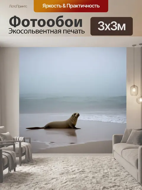 Фотообои на утреннем побережье, окруженном туманом, одинокий тюлень наблюдает за морем