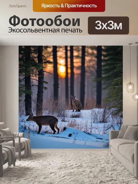 Фотообои в зимнем лесу оседает заря, когда последние лучи солнца смешиваются с облаками