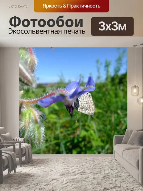 Фотообои Бабочка